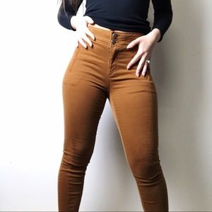 LOFT Brown Pants